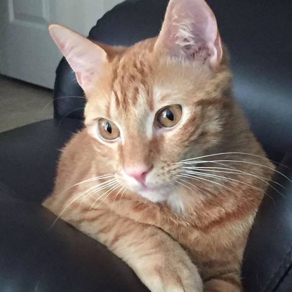 Meet your Posher, Birgit - Picture 1 of 1